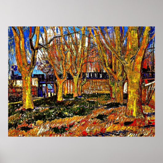 Van Gogh - Avenue of Plane Trees Poster (Voorkant)