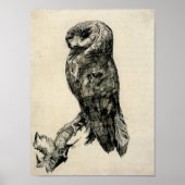 Van Gogh - Barn Owl Van zijkant bekeken Poster (Voorkant)