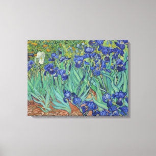 Van Gogh beroemde blauwe irissen bloemenschilderij Canvas Afdruk