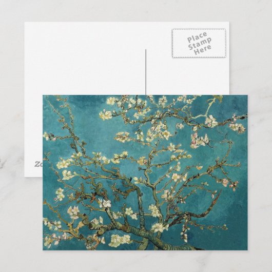 Van Gogh - Blossomalamandelboom Briefkaart (Voorkant / Achterkant)