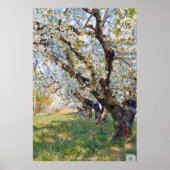 Van Gogh Blossoming Apricot Trees Poster (Voorkant)