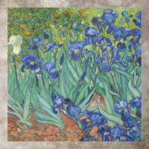 Van Gogh  Blue Irisage Green Foliage