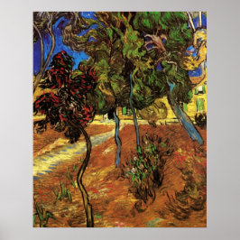 Van Gogh Bomen in de tuin, Sint Paulus Ziekenhuis Poster