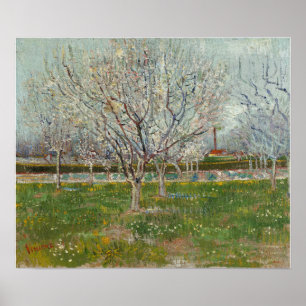 Van Gogh - Boomgaard in bloei (Pruimenbomen) Poster