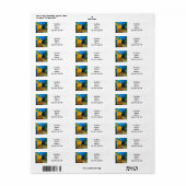 Van Gogh Café Terrace bij nacht Etiket (Full Sheet)