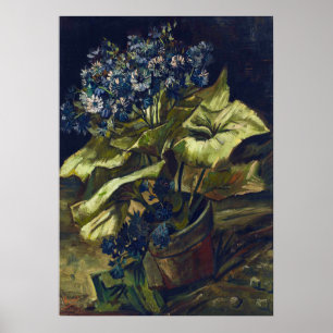 Van Gogh Cineraria in een bloempot Poster