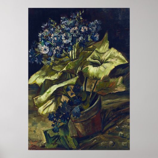 Van Gogh Cineraria in een bloempot Poster (Voorkant)