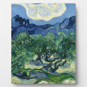 Van Gogh De olijfbomen Landschapsschilderij Fotoplaat (Voorkant)