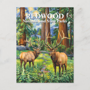 Van Gogh Elk Redwood California Forest Aangepaste Briefkaart