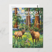 Van Gogh Elk Redwood California Forest Custom Text Briefkaart (Voorkant / Achterkant)