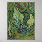 Van Gogh - Emperor Moth Poster (Voorkant)