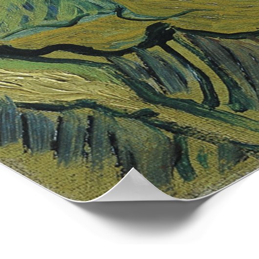 Van Gogh - Emperor Moth Poster (Hoek)