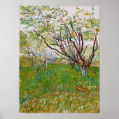 Van Gogh Flowering Orchard Painting Poster (Voorkant)