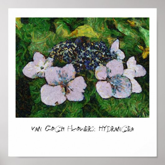 Van Gogh Flowers: Hydrangea Poster (Voorkant)