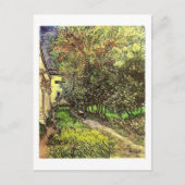 Van Gogh Garden St Remy Fine Art Briefkaart (Voorkant)