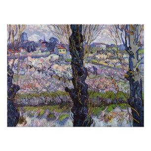 Van Gogh Gezicht Arles Bloeiende Tuin Perfect Poster