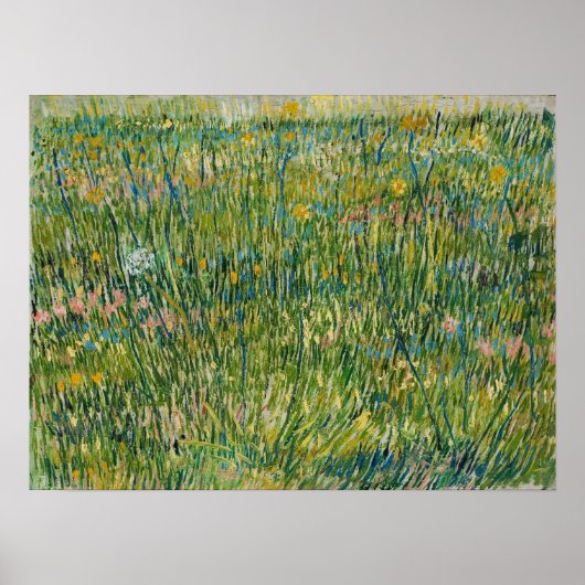 Van Gogh - grasspleet Poster (Voorkant)