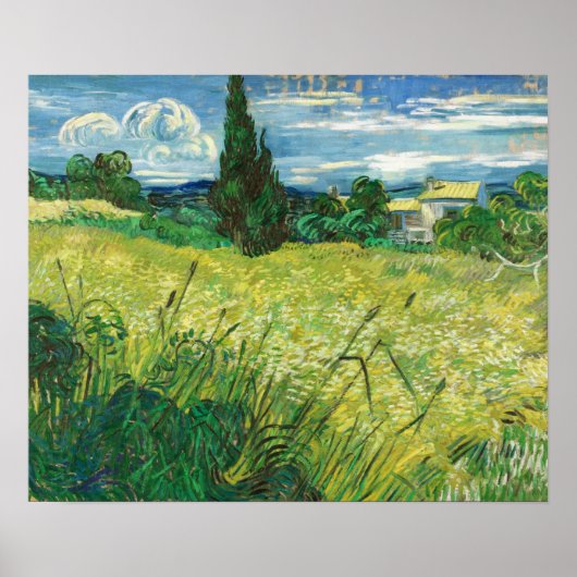 Van Gogh - groen veld Poster (Voorkant)