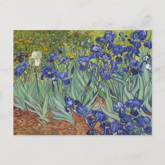 Van Gogh Iopen  Fine Art Floral Briefkaart (Voorkant)