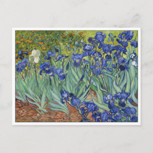 Van Gogh Iopen Fine Art Floral Briefkaart