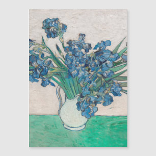 Van Gogh Iris Vase Schilderend Impressionisme