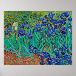 Van Gogh Irise Floral Painting Poster