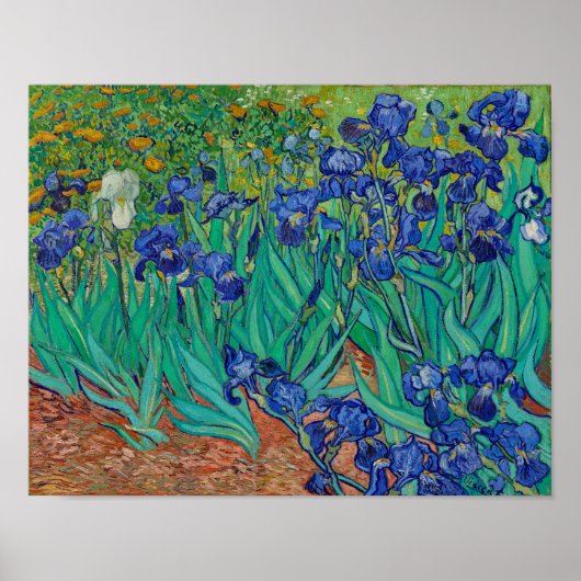 Van Gogh Irise Floral Painting Poster (Voorkant)