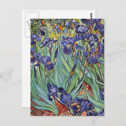 Van Gogh Irise Impressionist Painting Briefkaart (Voorkant / Achterkant)