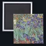 Van Gogh Irise Impressionist Painting Magneet<br><div class="desc">Vincent Van Gogh Irises op Saint Remy - Irises door Vincent Van Gogh is een prachtig indrukwekkend schilderij van een van de meester-impressionistische kunstenaars van altijd. De iristuin zwaait met kleur en emotie, terwijl de paarse irissen uit hun blauwe groene stengels en bladeren stromen. Er zijn wat oranje bloemen op...</div>