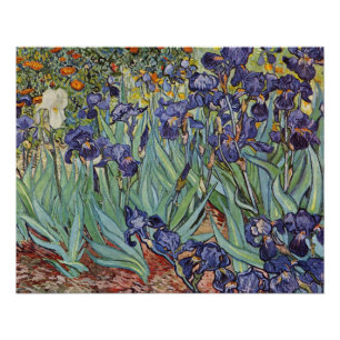 Van Gogh Irise Impressionist Painting Poster