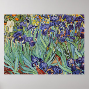 Van Gogh Irise Impressionist Painting Poster
