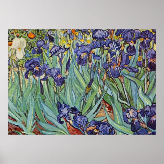 Van Gogh Irise Impressionist Painting Poster (Voorkant)