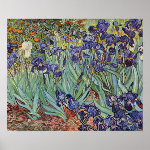 Van Gogh Irise Impressionist Painting Poster