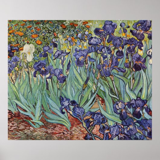 Van Gogh Irise Impressionist Painting Poster (Voorkant)