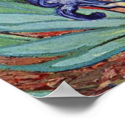 Van Gogh Irise Impressionist Painting Poster (Hoek)