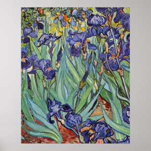 Van Gogh Irise Impressionist Painting Poster