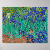 Van Gogh Irise Painting Poster (Voorkant)