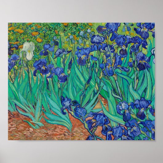 Van Gogh Irise Painting Poster (Voorkant)