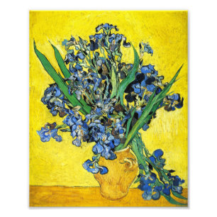 Van Gogh Irise Print Foto Afdruk