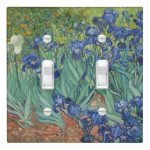 Van Gogh  Irises