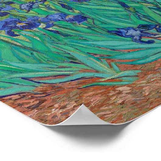 van Gogh - Irises (1889) Poster (Hoek)