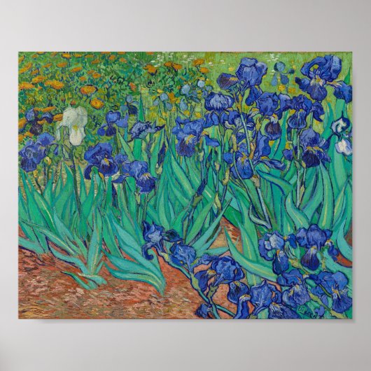 van Gogh - Irises (1889) Poster (Voorkant)
