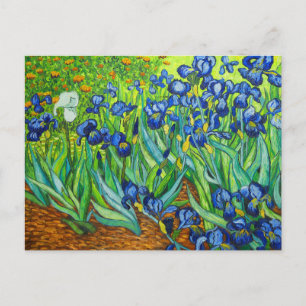 Van Gogh Irises Briefkaart