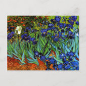 Van Gogh - Irises Briefkaart (Voorkant)
