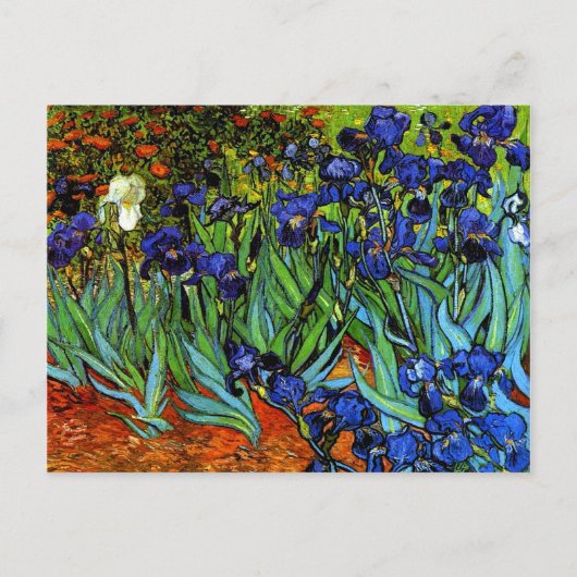 Van Gogh - Irises Briefkaart (Voorkant)