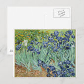 Van Gogh Irises Briefkaart (Voorkant / Achterkant)