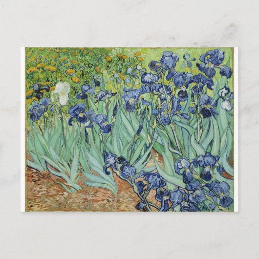 Van Gogh Irises Briefkaart (Voorkant)