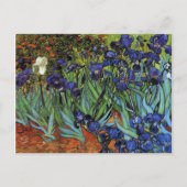Van Gogh Irises Briefkaart (Voorkant)