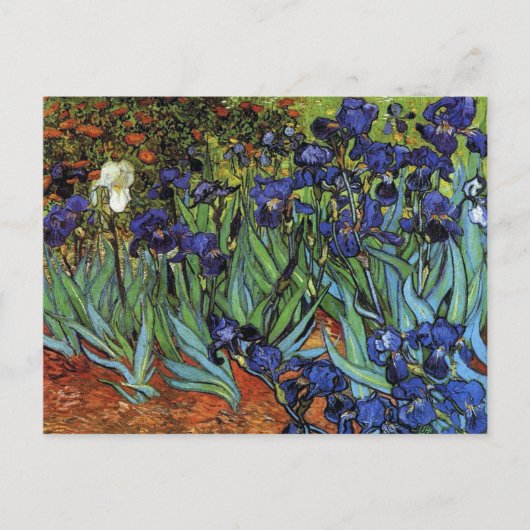 Van Gogh Irises Briefkaart (Voorkant)