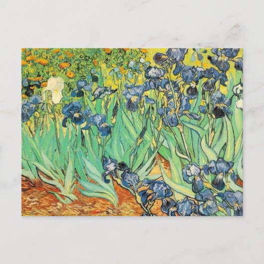 Van Gogh Irises Briefkaart (Voorkant)